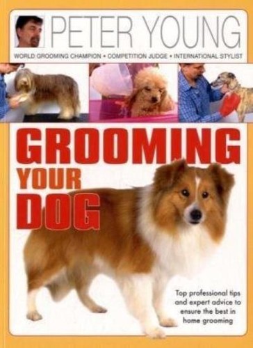 Grooming your dog - dog., top