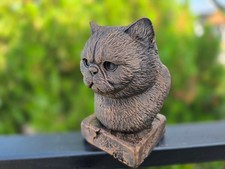 Exotic Shorthair Cat Bust