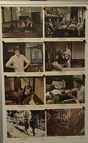 Original 1969 the sterile - original,