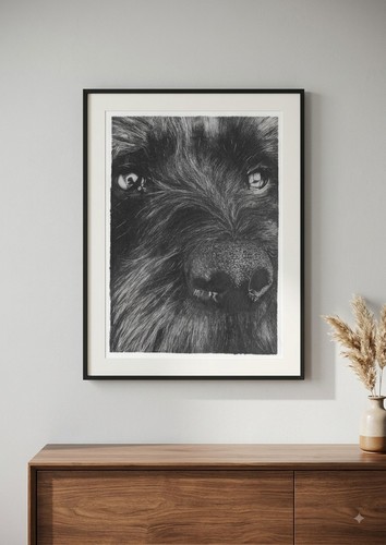 Labradoodle dog art - art,