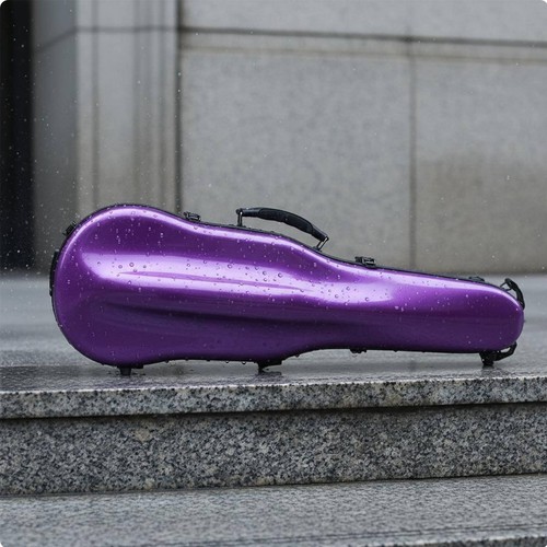 Violin case backpack - violin,