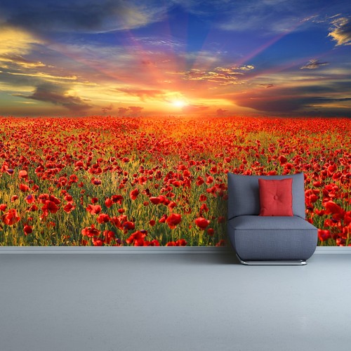 Tulup photo wallpaper - tulup, self