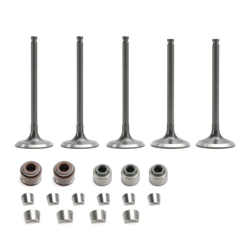 Intake exhaust valves - intake, w/