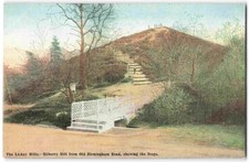 Lickey Hills Bilberry Hill