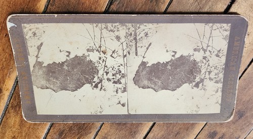 Antique stereoview card - antique,
