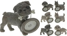 15cm Pug Westie King Charles