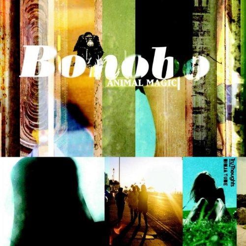Animal magic bonobo - -,