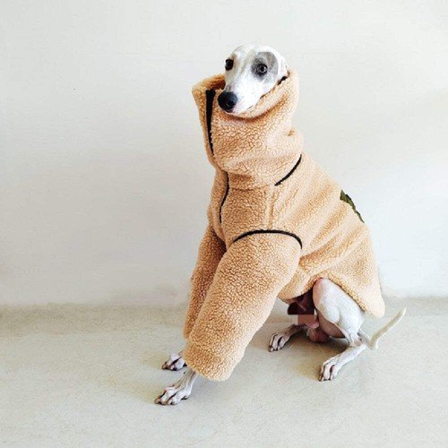 Greyhounds whippet super thick - greyhounds,