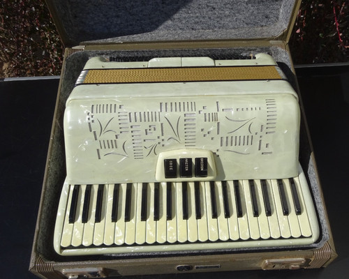 Accordion 120 basses - accordion,