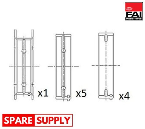 Crankshaft bearings for - crankshaft, fiat