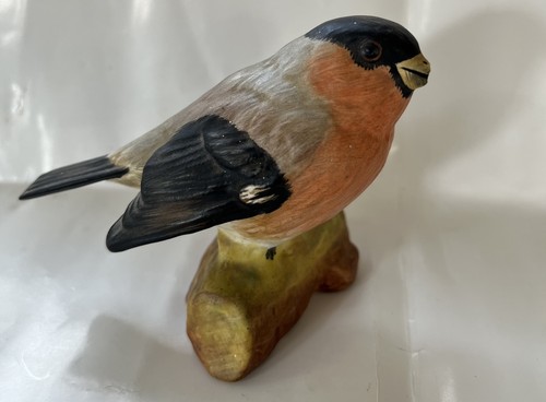 Bird bull finch - , crown