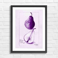 Wilder Early Pear Fruit