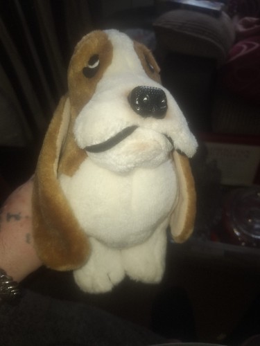Hush puppies brown white - puppies,