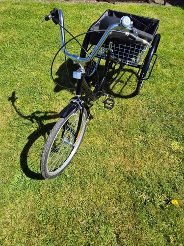Adult speed tricycle - speed, cruiser