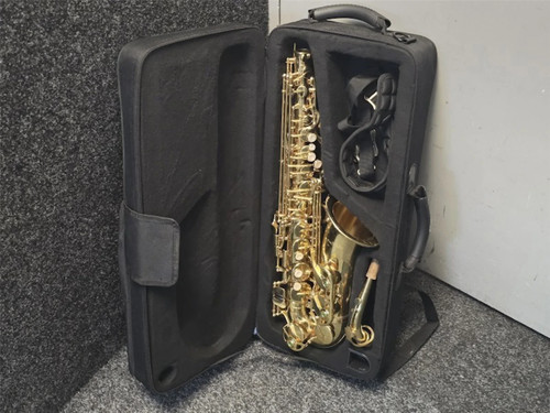 Freshman alto saxophone with - freshman,