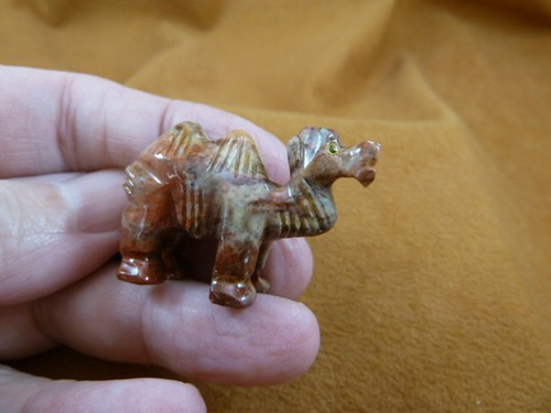 Cam red camel camels - red,