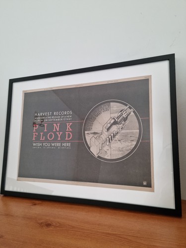 Pink floyd original large - pink,