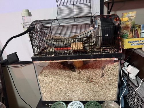 Large hamster cage habitat - large,