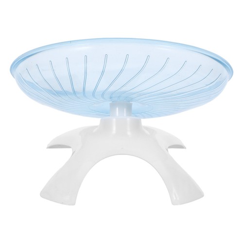 Hamster exercise spinner - hamster, dish