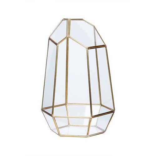 Glass plants terrarium tall - plants,
