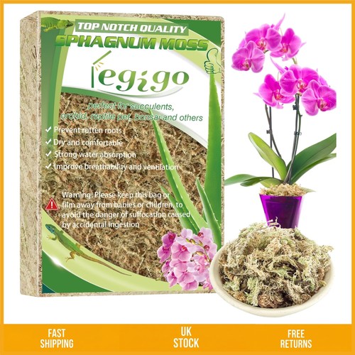 Natural sphagnum moss dried - sphagnum,