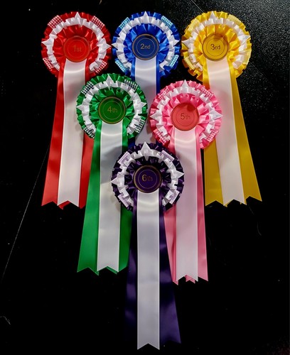 Tier rosettes 1st to 6th - x6, 3