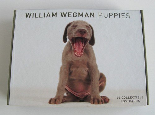 William wegman puppies - william,
