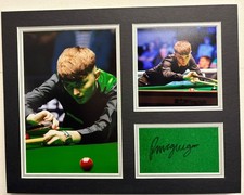 Professional Snooker Player