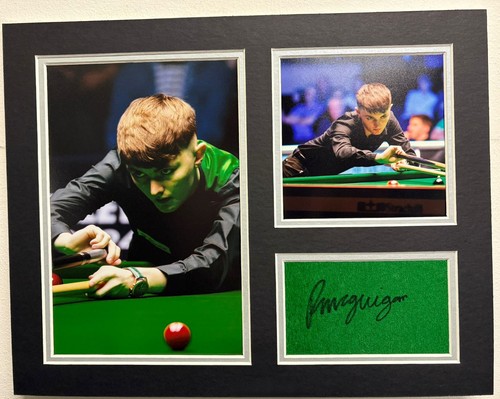 Professional snooker player - professional,