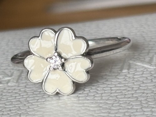 Pandora white primrose flower - pandora,