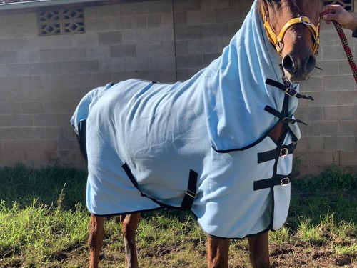 Polar fleece combo horse - polar,