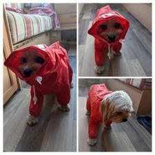 Waterproof Dog Coat With Hood