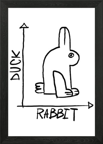 Optical illusion duck framed - optical,