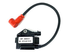 Go Kart Rotax Max Evo 2021 Ignition Coil w/cap JNR/SNR/DD2 Karting