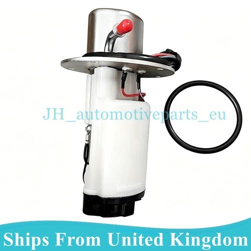 Fuel pump assembly for - fuel,