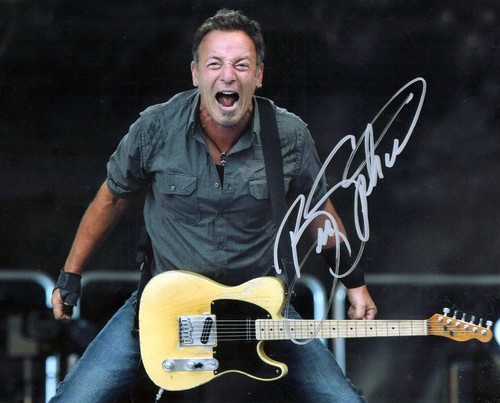 Bruce springsteen the boss - springsteen,