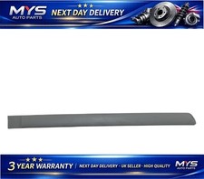 Rear Door Panel Trim Moulding