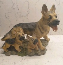 German shepherd Alsatian dog