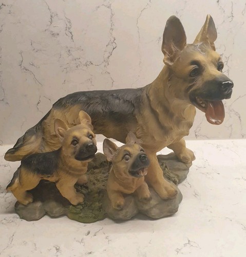 German shepherd alsatian dog - shepherd,