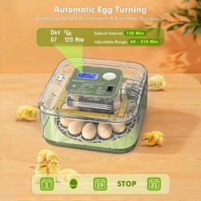 Incubators for Hatching Eggs