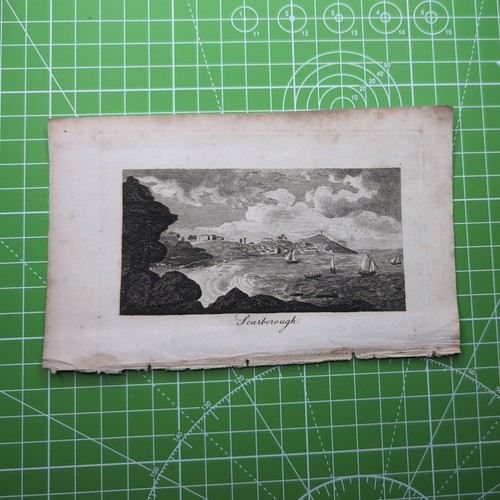 Original 1810 engraving - 1810,