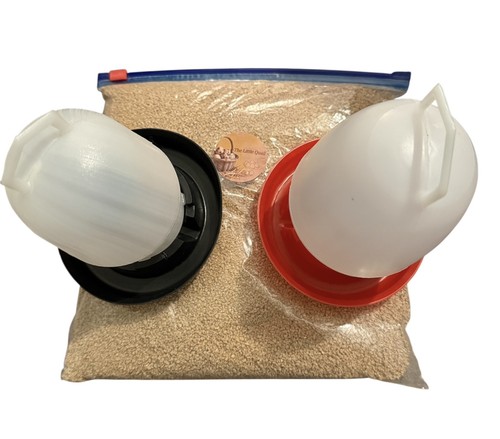 Quail chick chicken feeder - chick, &