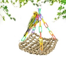 Pets birds parrot - pets,