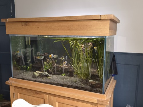 Aqua solid oak - solid,