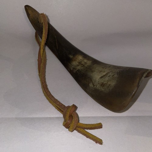 19th century antique - cow, horn