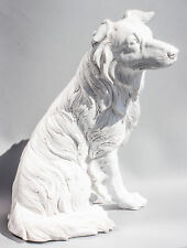 Unpainted Border Collie