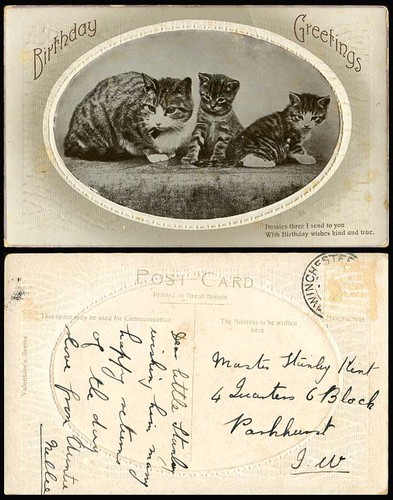 Pussies birthday wishes - 3,