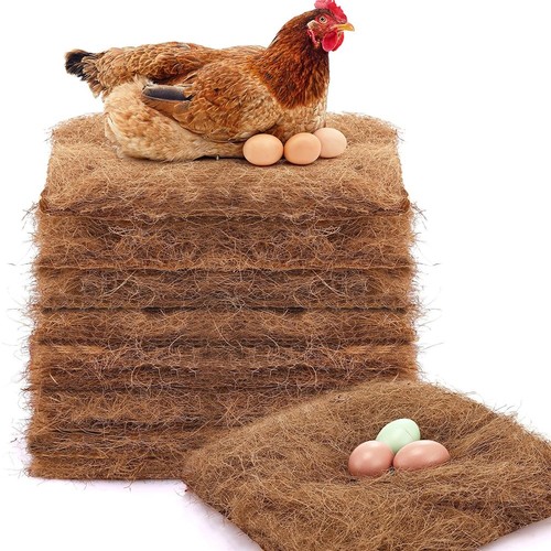 Pack chicken nest - pack,