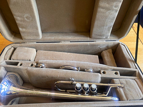 1517 trumpet silver - trumpet,