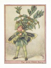 1940 Flower Fairy book print Original First Edition The Box Tree Fairy